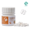 Lucky  FIP Special Treatment GS Oral Pill Ⅱ 12 mg