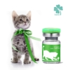 FIP Special treatment GS Lucky 20 mg/ml